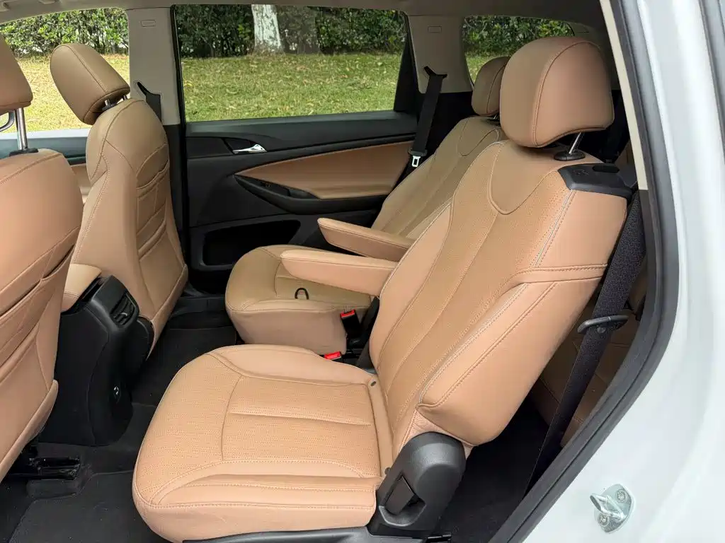 Buick GL6 — миниатюра 12