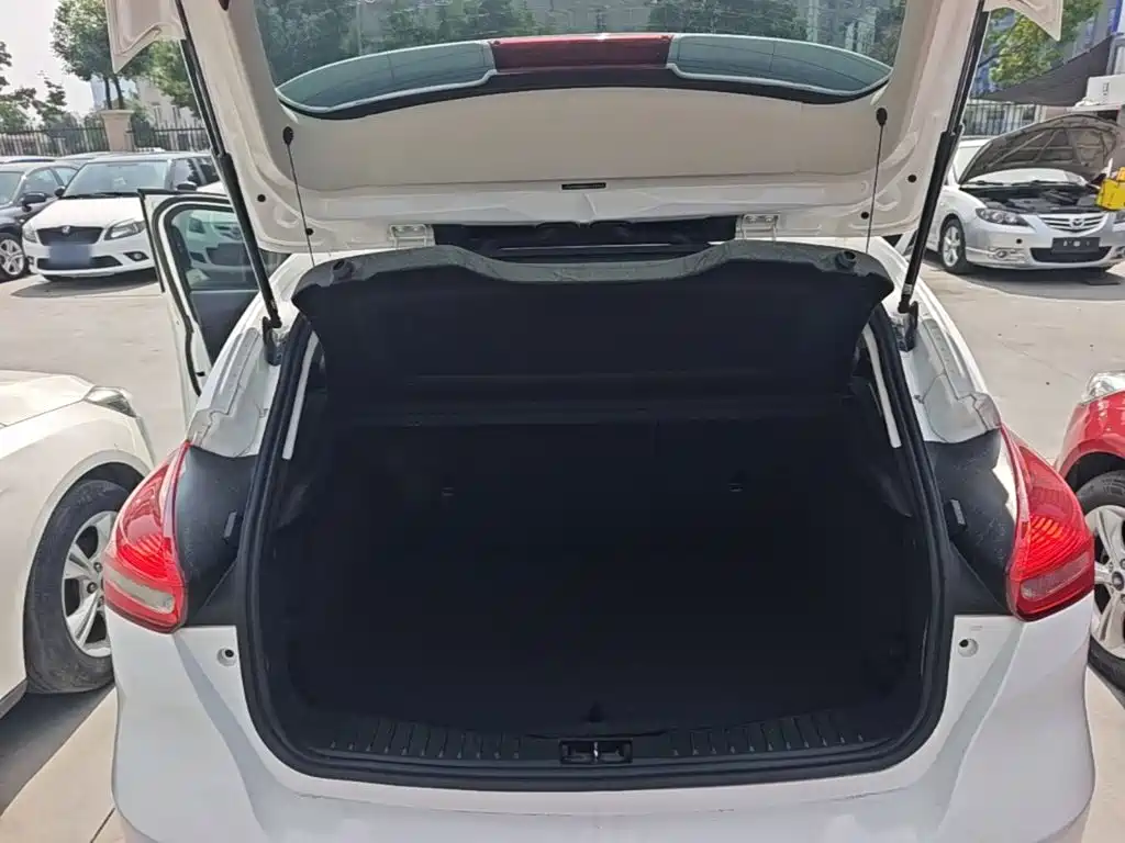 Ford Focus — миниатюра 19