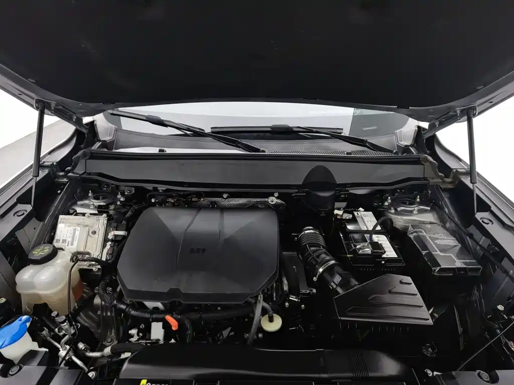 Haval Big Dog PLUS — миниатюра 6
