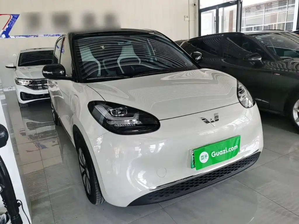 Wuling Binguo 2024 333km Enjoy