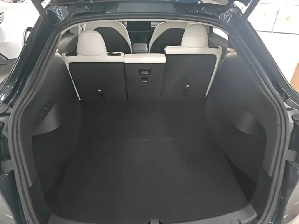 Tesla Model Y — миниатюра 19