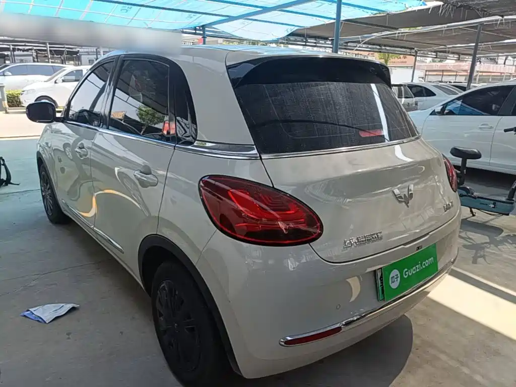 Wuling Binguo 2023 333km Enjoy