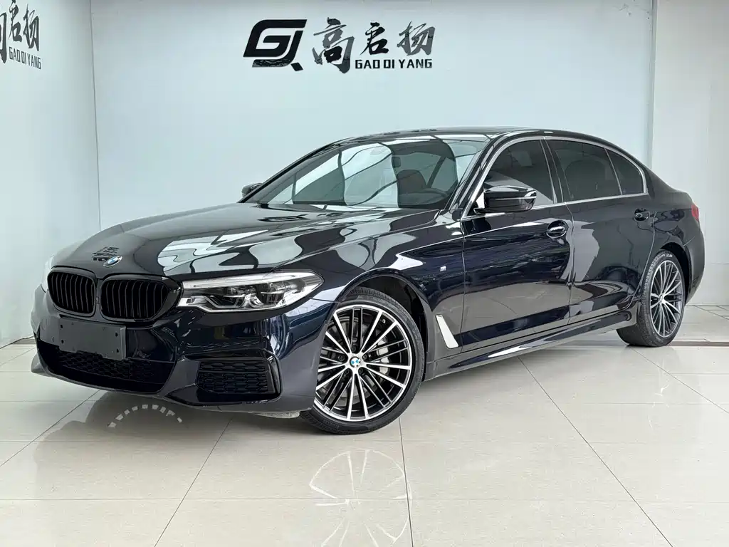 BMW 5 Series 2020 530Li Premium Type M Sport Package