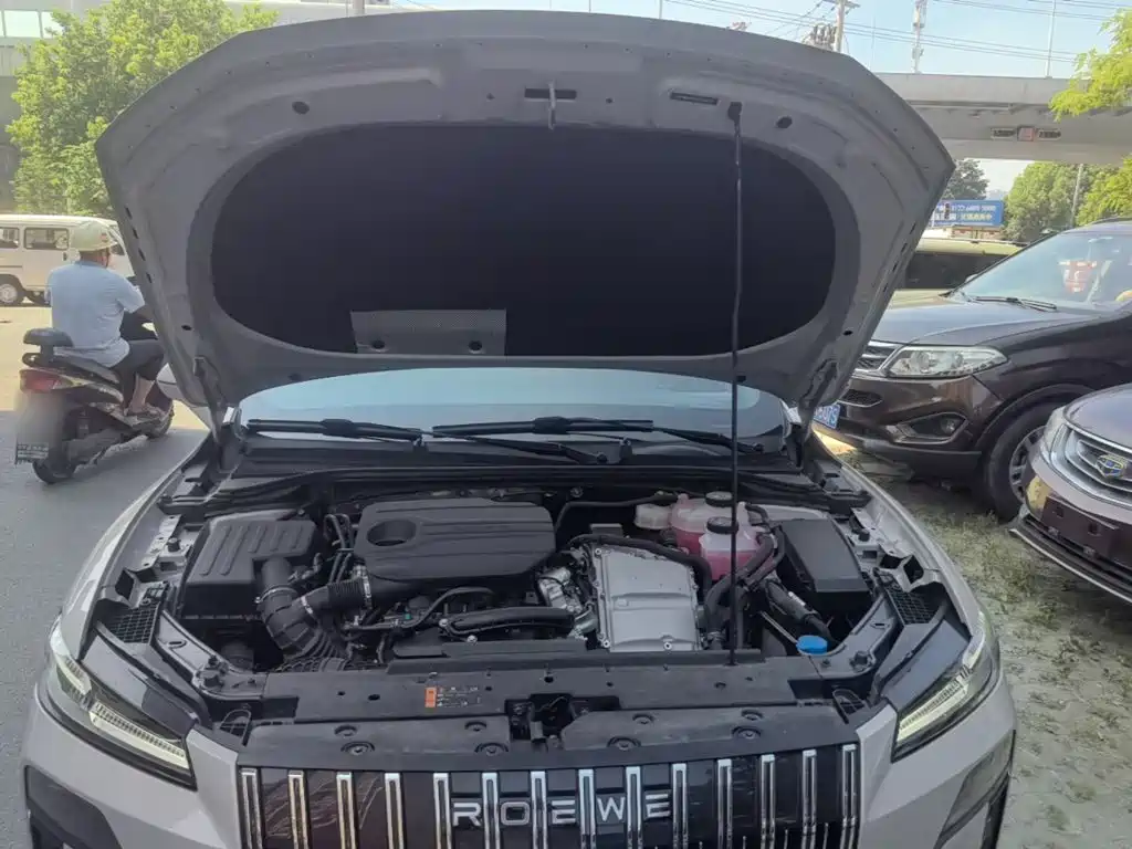 Roewe Wing Wai M7 DMH — миниатюра 20