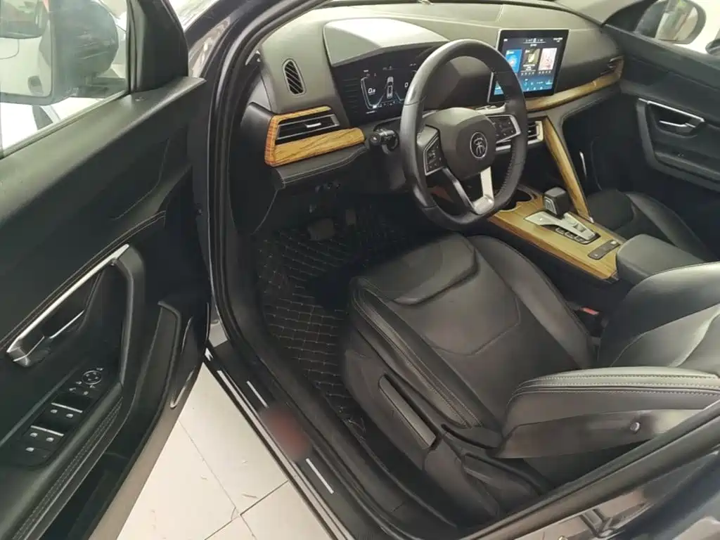 BYD Pro — миниатюра 16