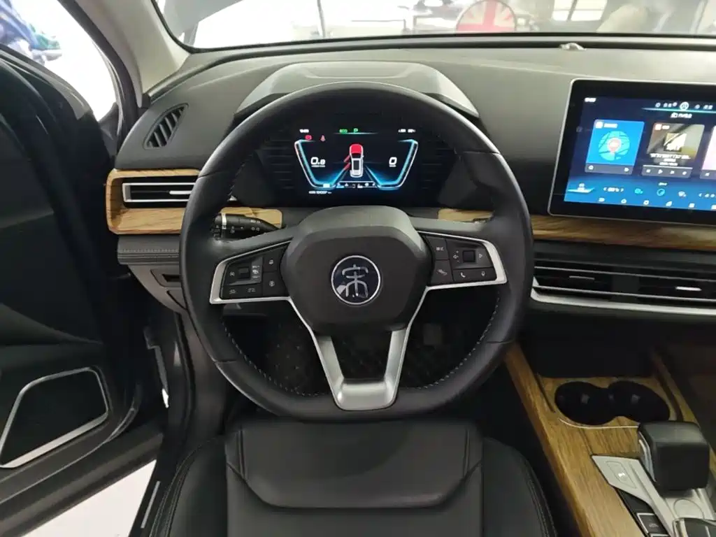 BYD Pro — миниатюра 11