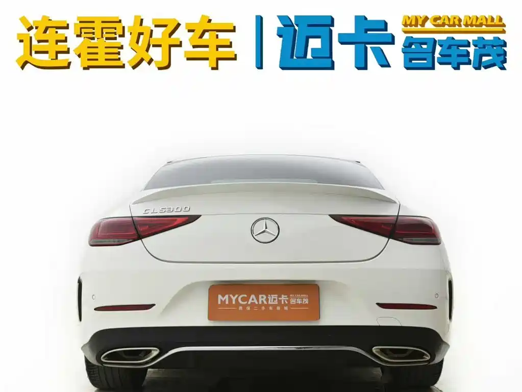 Mercedes-Benz CLS 2021 CLS 300 Luxury