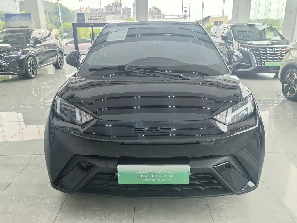 BYD Seagull