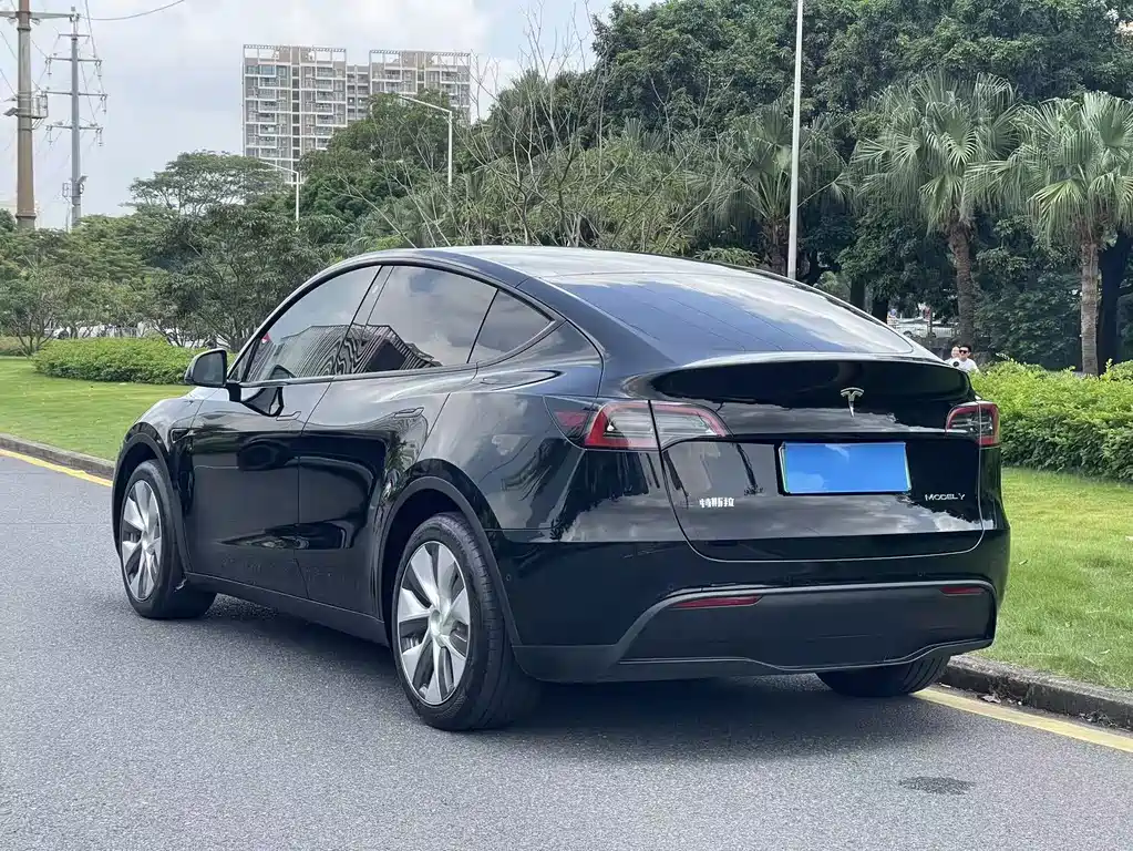 Tesla Model Y — миниатюра 4