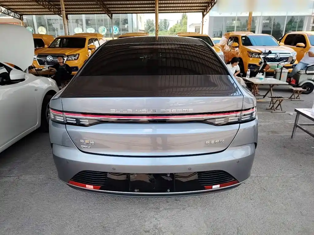 BYD Destroyer 05 2024 DM-i 55KM Luxury