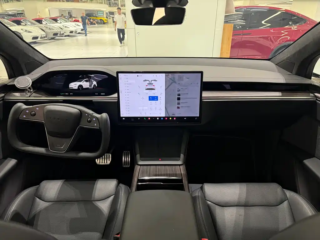 Tesla Model X — миниатюра 9