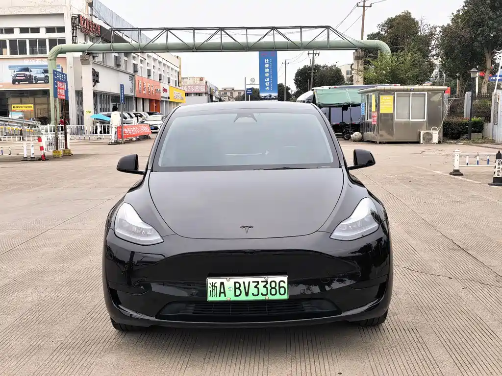 Tesla Model Y — миниатюра 2