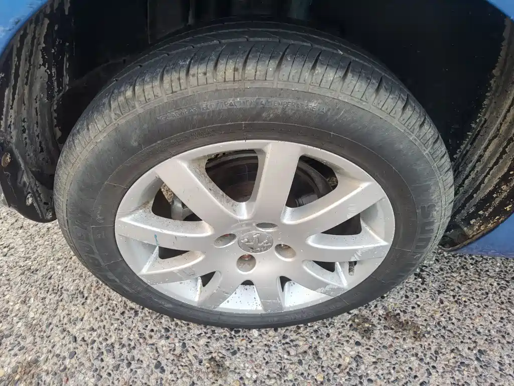 Peugeot 307 — миниатюра 17