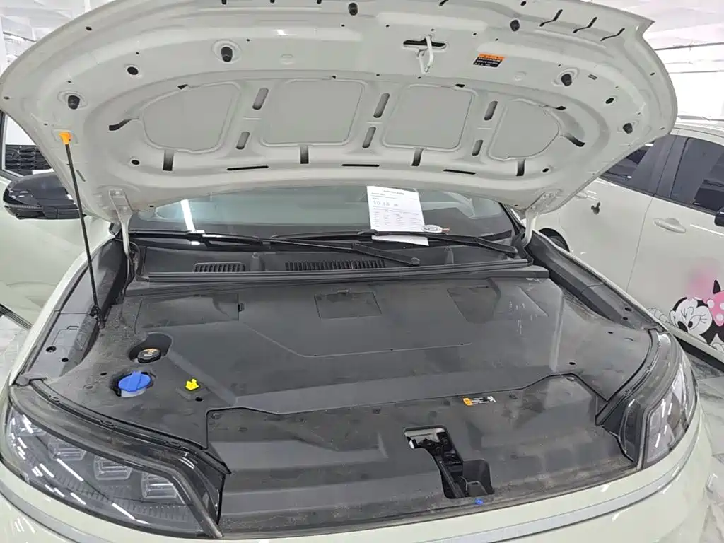 Hyundai EO — миниатюра 20