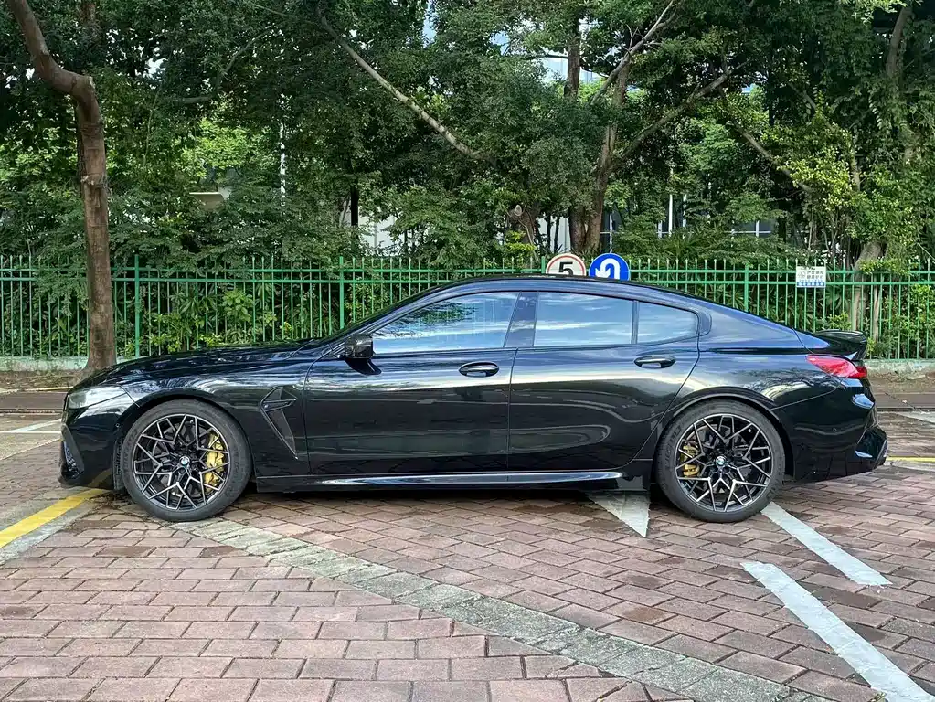 BMW  M8