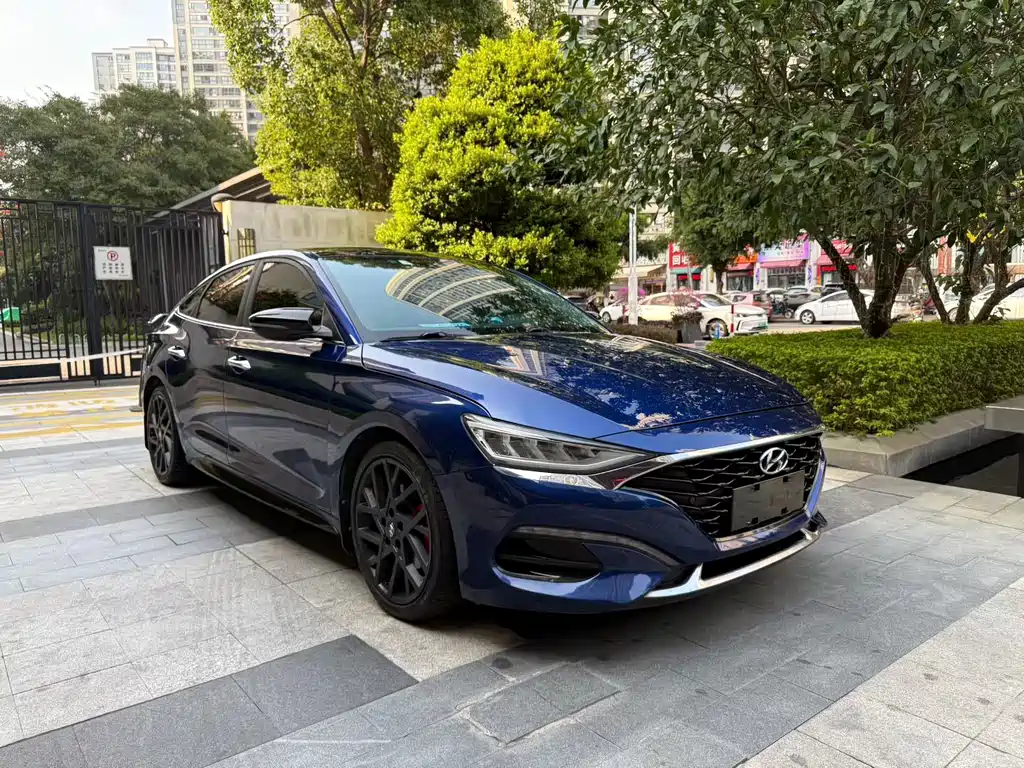 Hyundai Fista — миниатюра 2