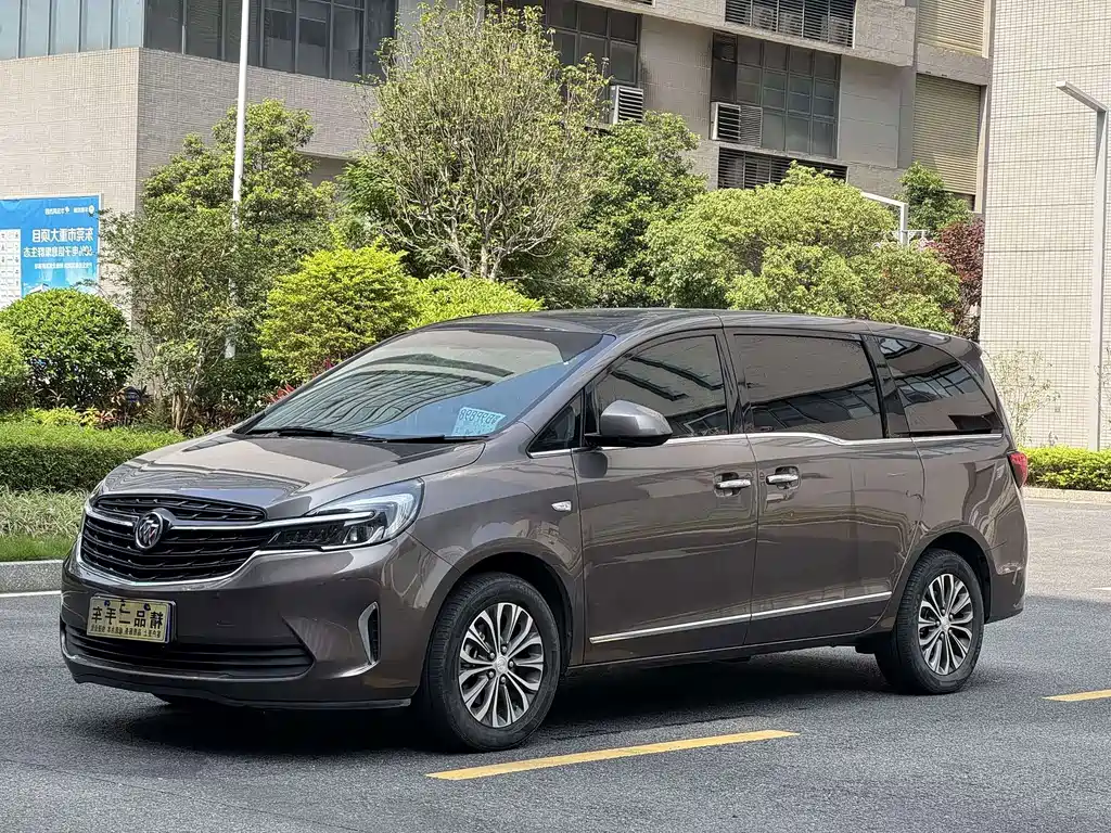 Buick GL8 — миниатюра 9