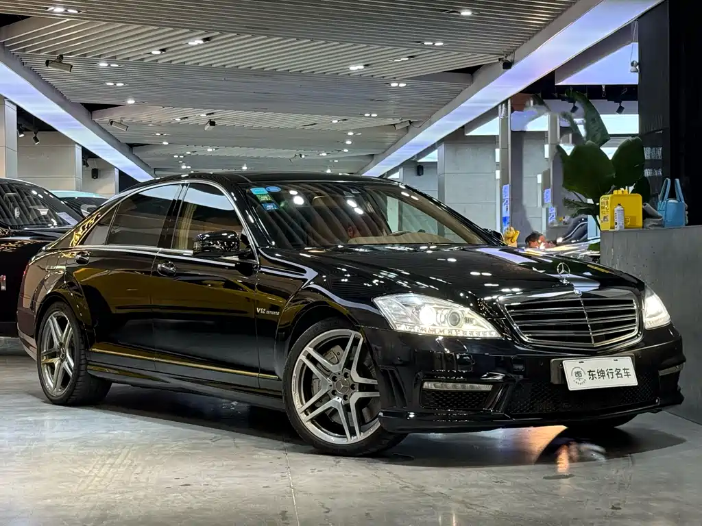 Mercedes-Benz S-Class A MG S AMG 2010 AMG S 65