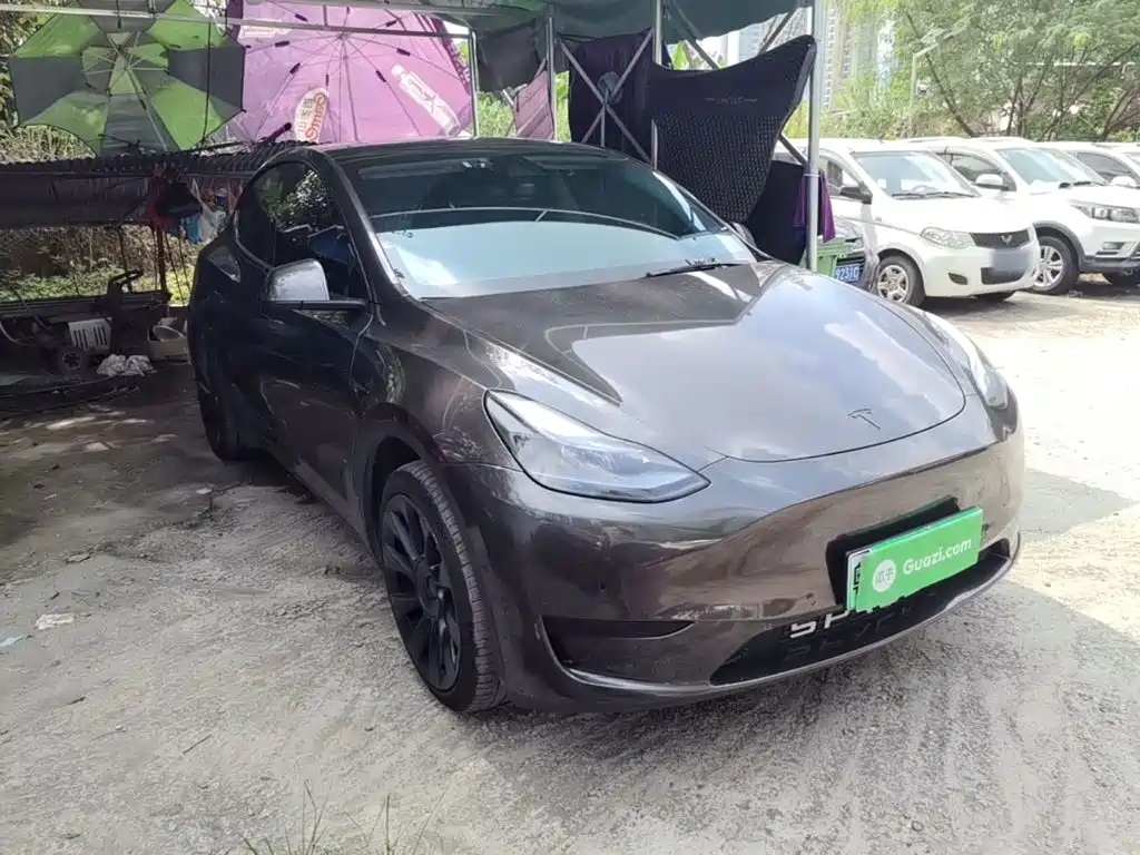 Tesla Model Y — миниатюра 4