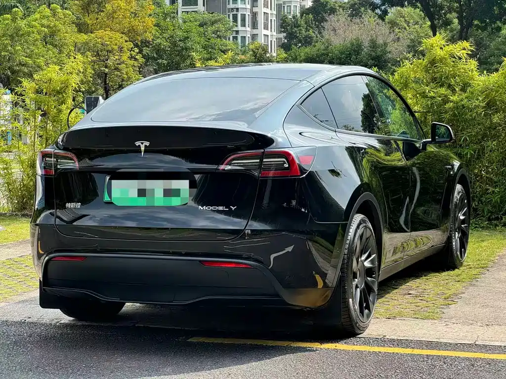 Tesla Model Y — миниатюра 9