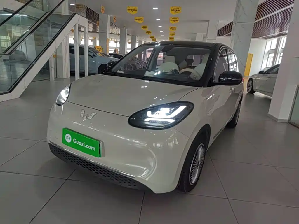 Wuling Binguo 2023 333km Enjoy +