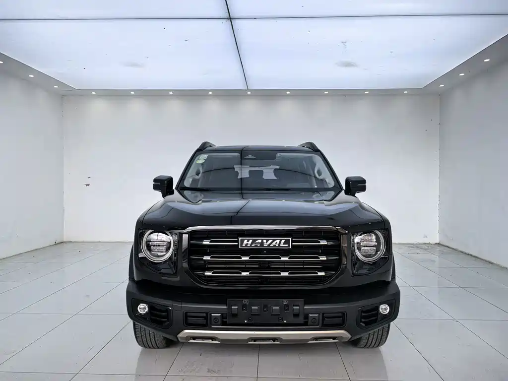 Haval Big Dog — миниатюра 2