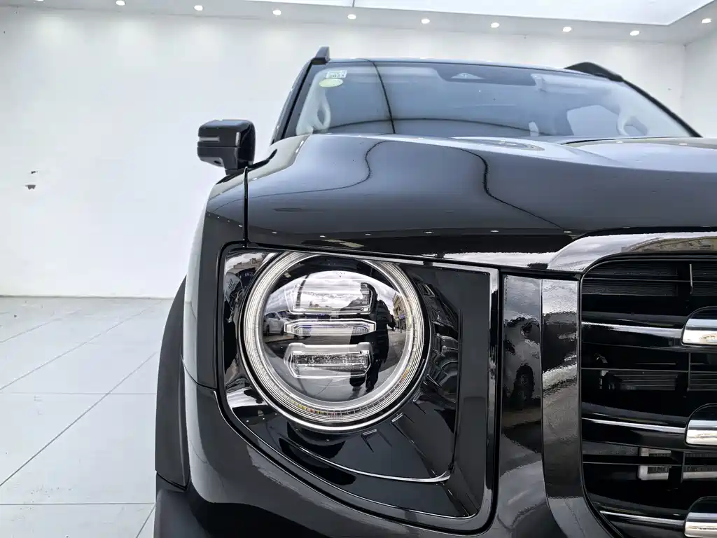 Haval Big Dog — миниатюра 13