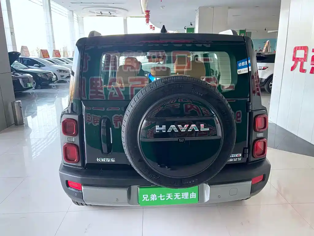 HAVAL RAPTORS NEW ENERGY