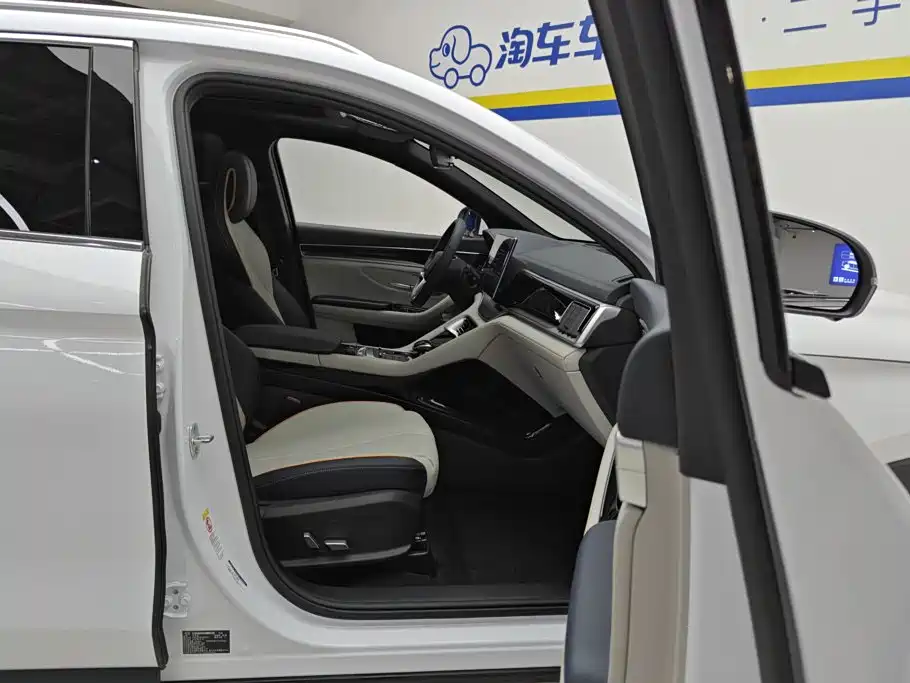 BYD PLUS New Energy — миниатюра 8