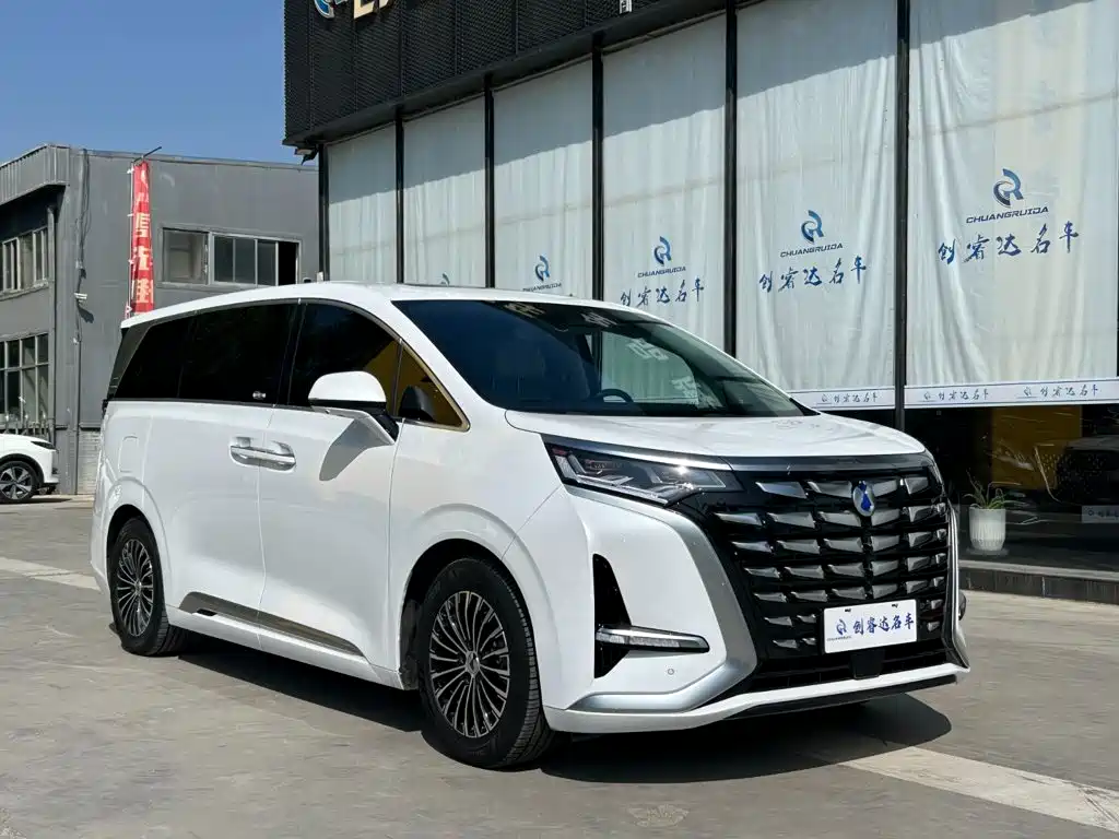 Denza Denza D9 — миниатюра 3