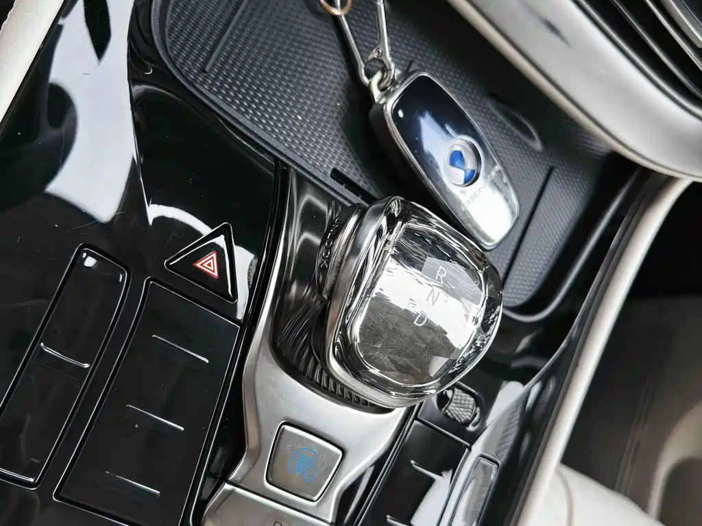 Denza Denza D9 — миниатюра 14