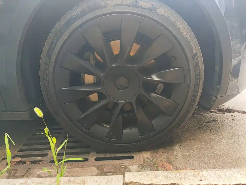 Tesla Model Y — миниатюра 23