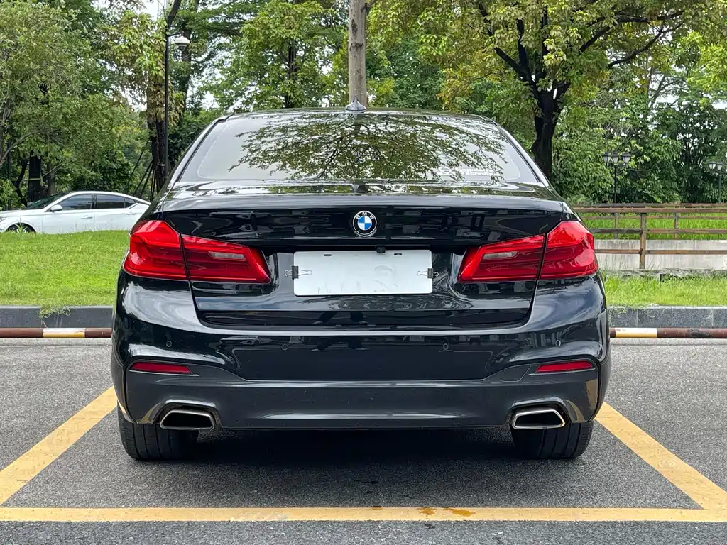 BMW 5 Series 5 2020 530Li Premium M Sport