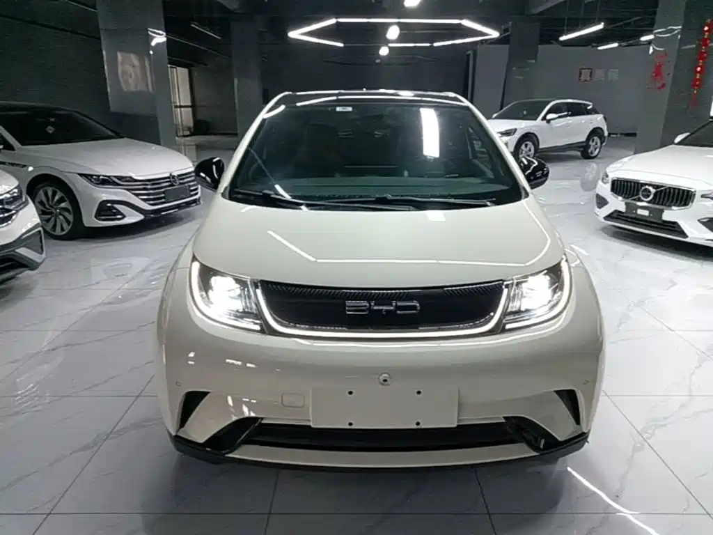 BYD Dolphin — миниатюра 3