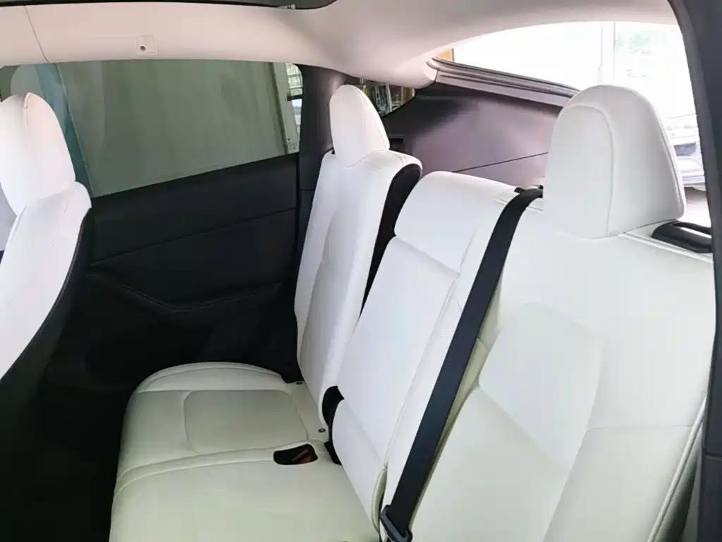 Tesla Model Y — миниатюра 24