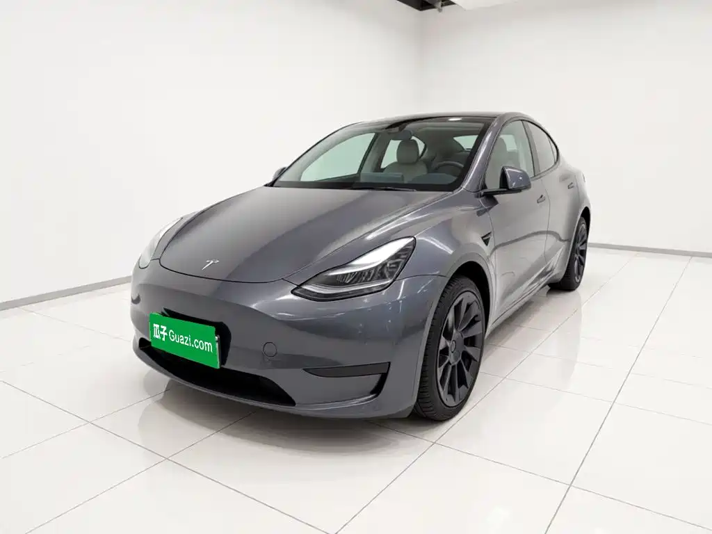 Tesla Model Y — миниатюра 2