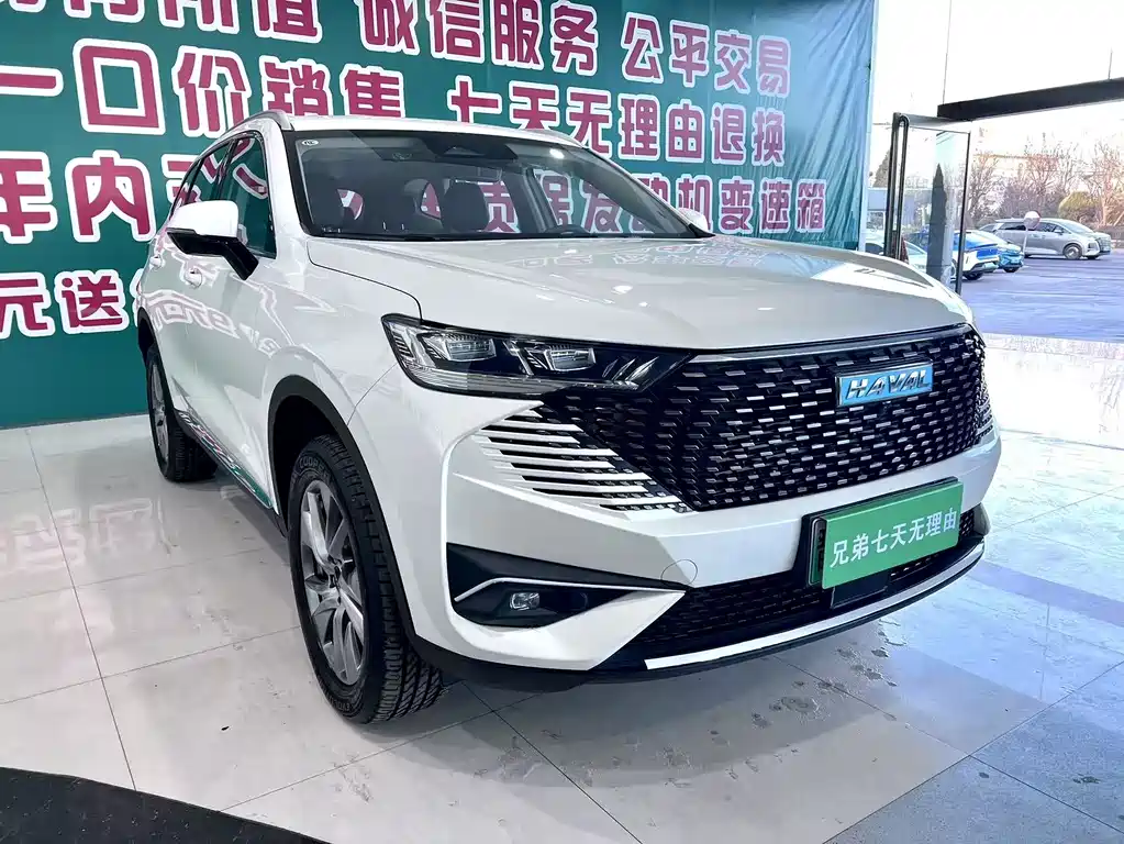 HAVAL H6 NEW ENERGY