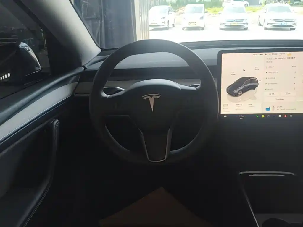 Tesla Model Y — миниатюра 11