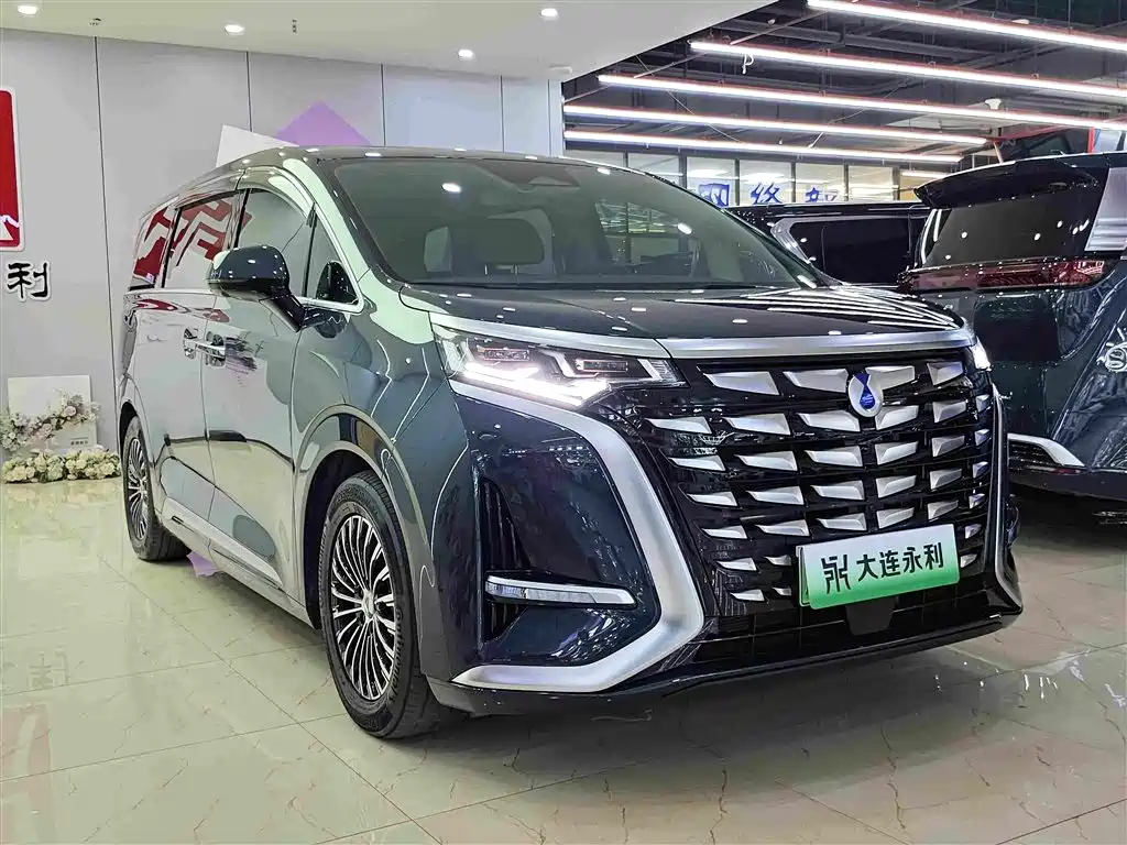 Denza Denza D9 — миниатюра 3