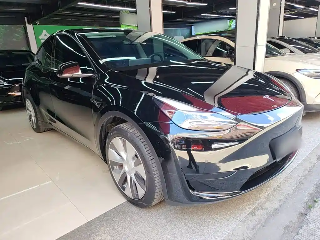 Tesla Model Y — миниатюра 4