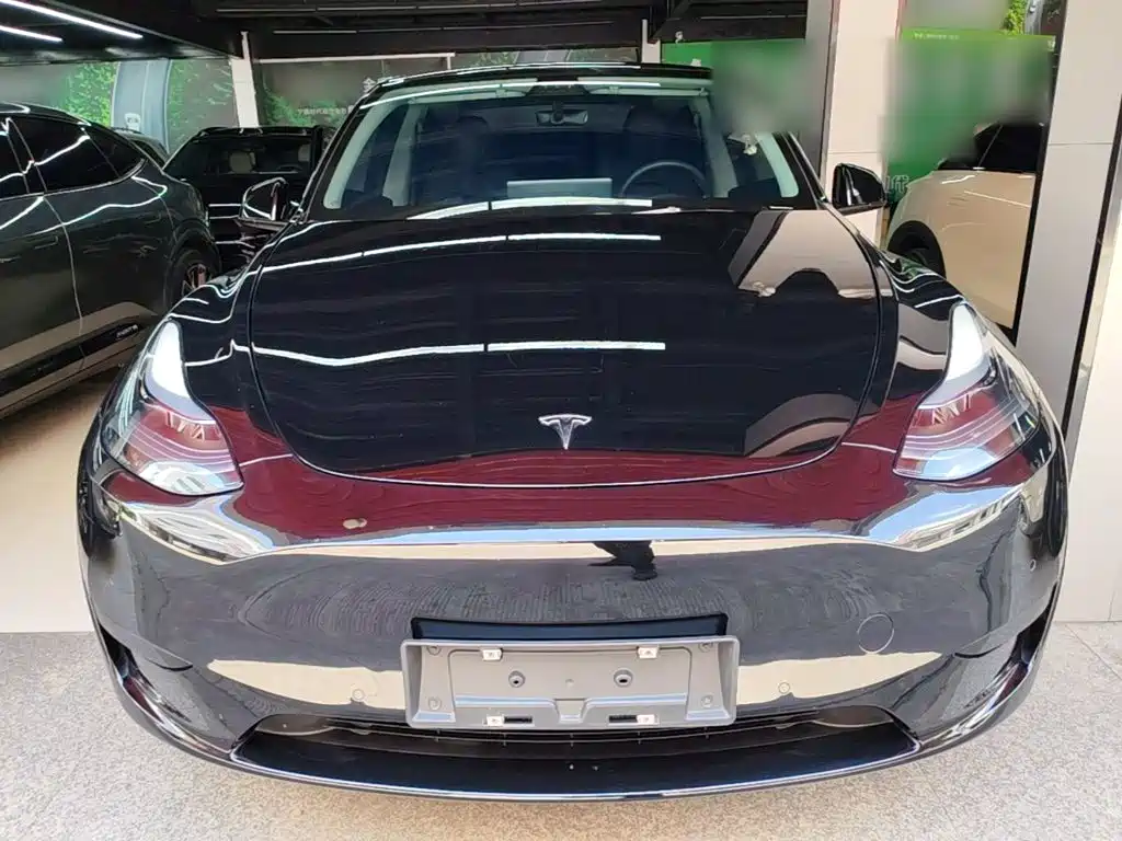 Tesla Model Y — миниатюра 3