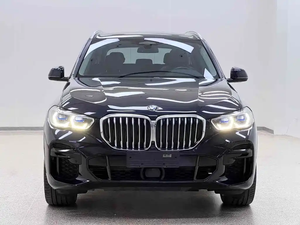 BMW X5 (Import) — миниатюра 2