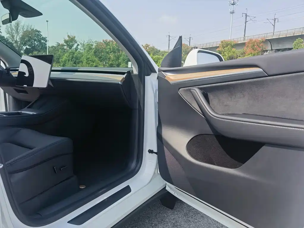 Tesla Model Y — миниатюра 12
