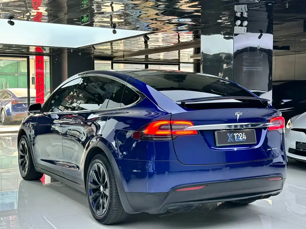 Tesla Model X — миниатюра 6