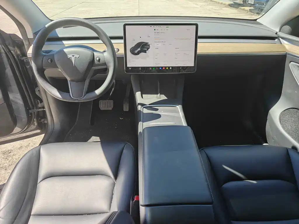 Tesla Model Y — миниатюра 10