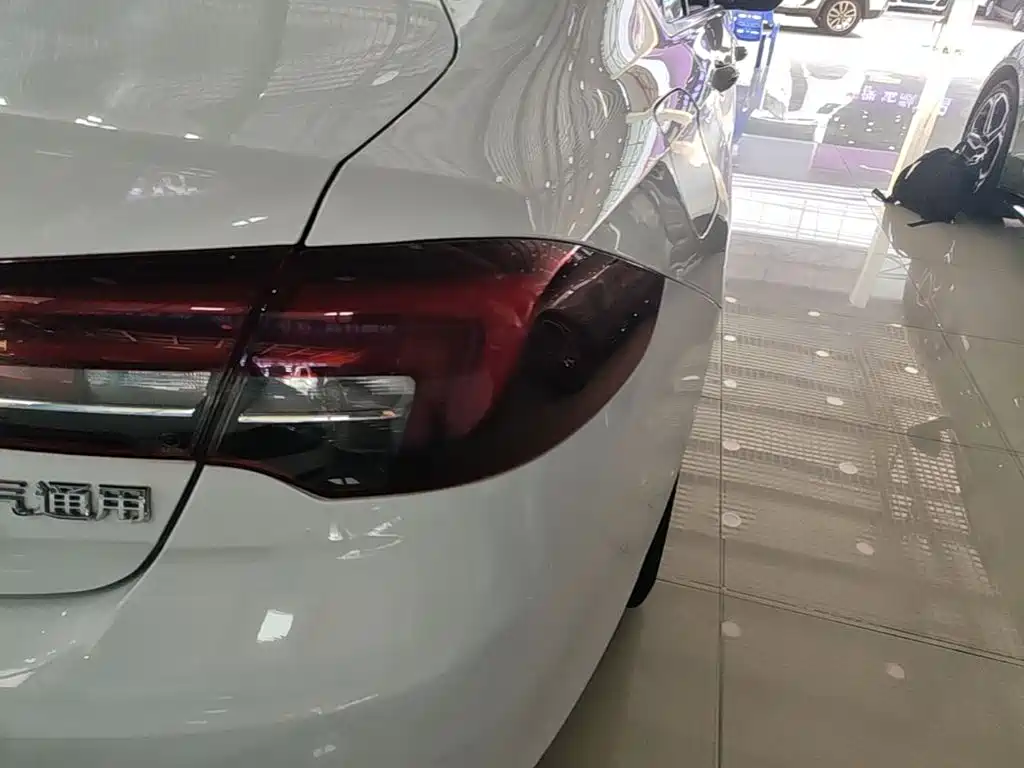 Buick Regal — миниатюра 8