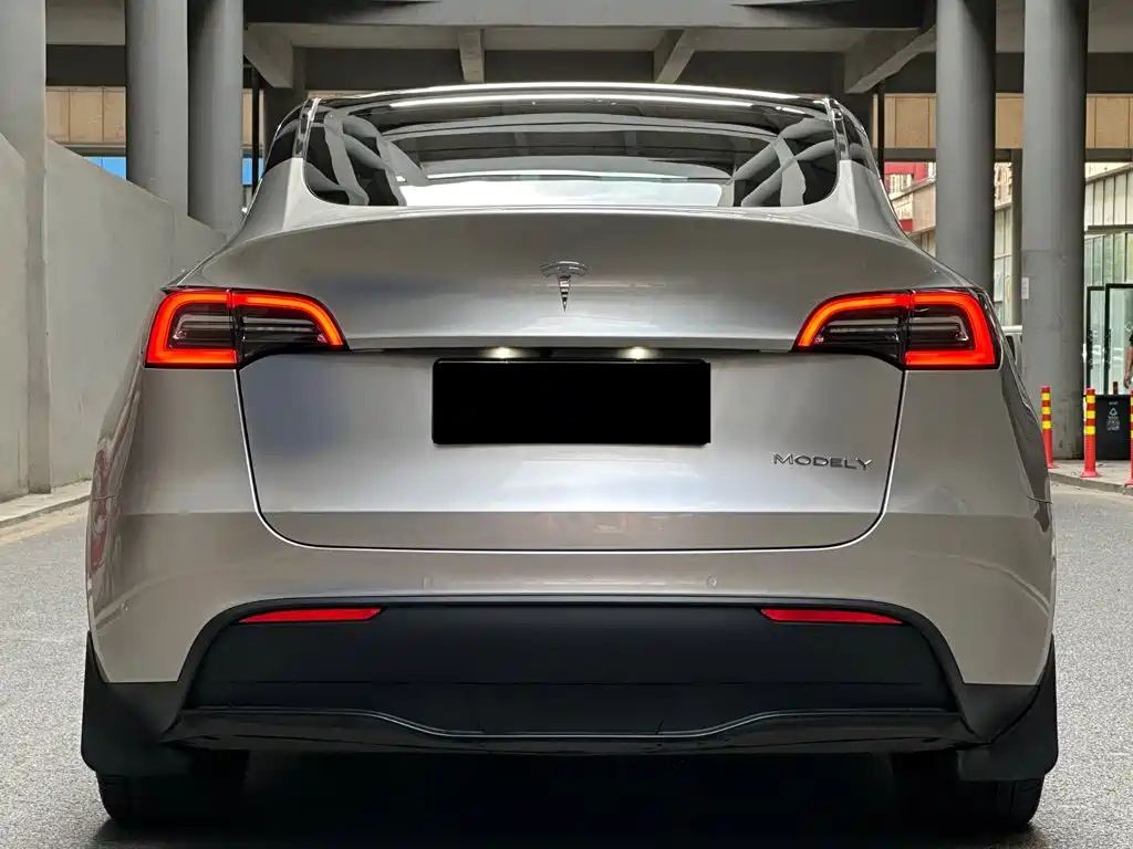 Tesla Model Y — миниатюра 4