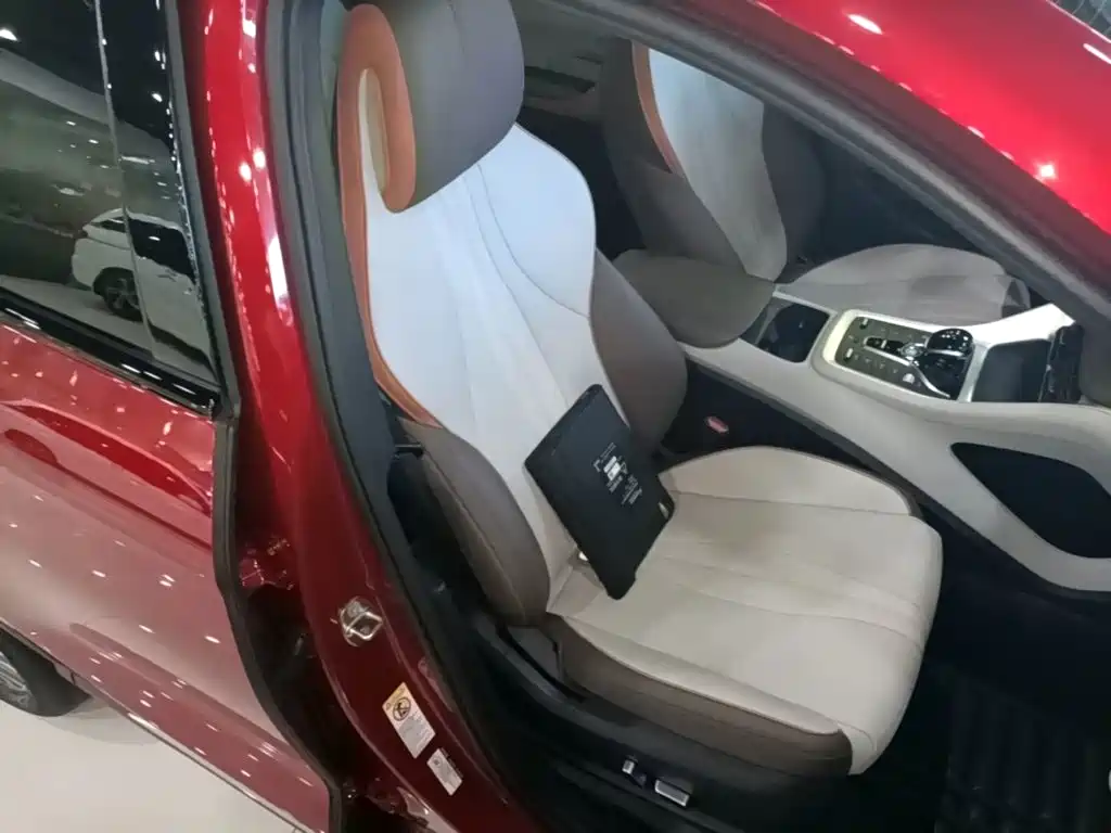 BYD Pro New Energy — миниатюра 25
