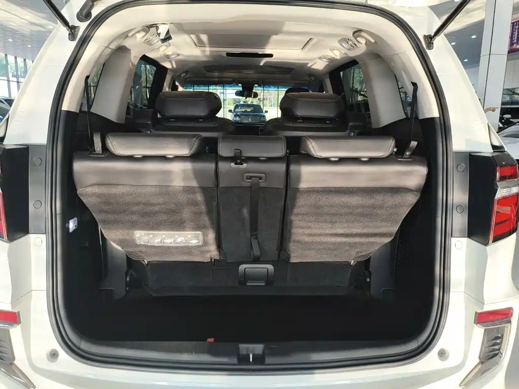 Honda Elysion — миниатюра 16
