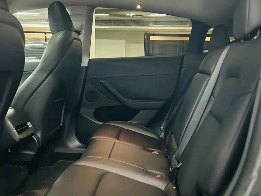 Tesla Model Y — миниатюра 10